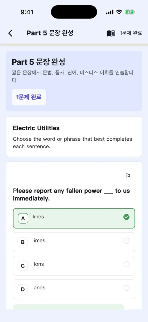 해설과 번역